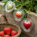 Heart Shaped Fruit Growing Mold Transparent Vegetables Shaper